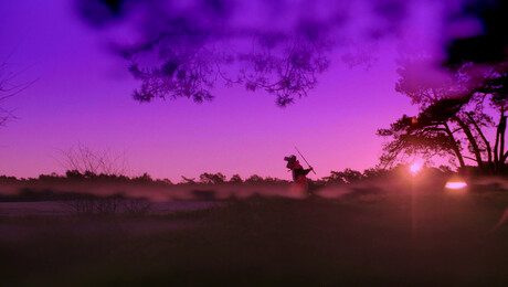 Dungeons & Spectrums